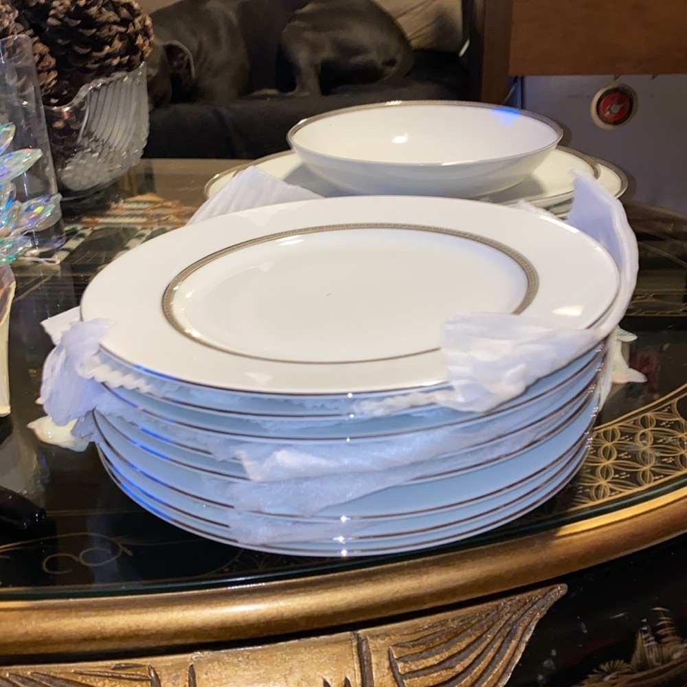 Treasure Chest CHARM Fine China Germany 61 peace Plate Setting + serving plates - Picture 7 of 9